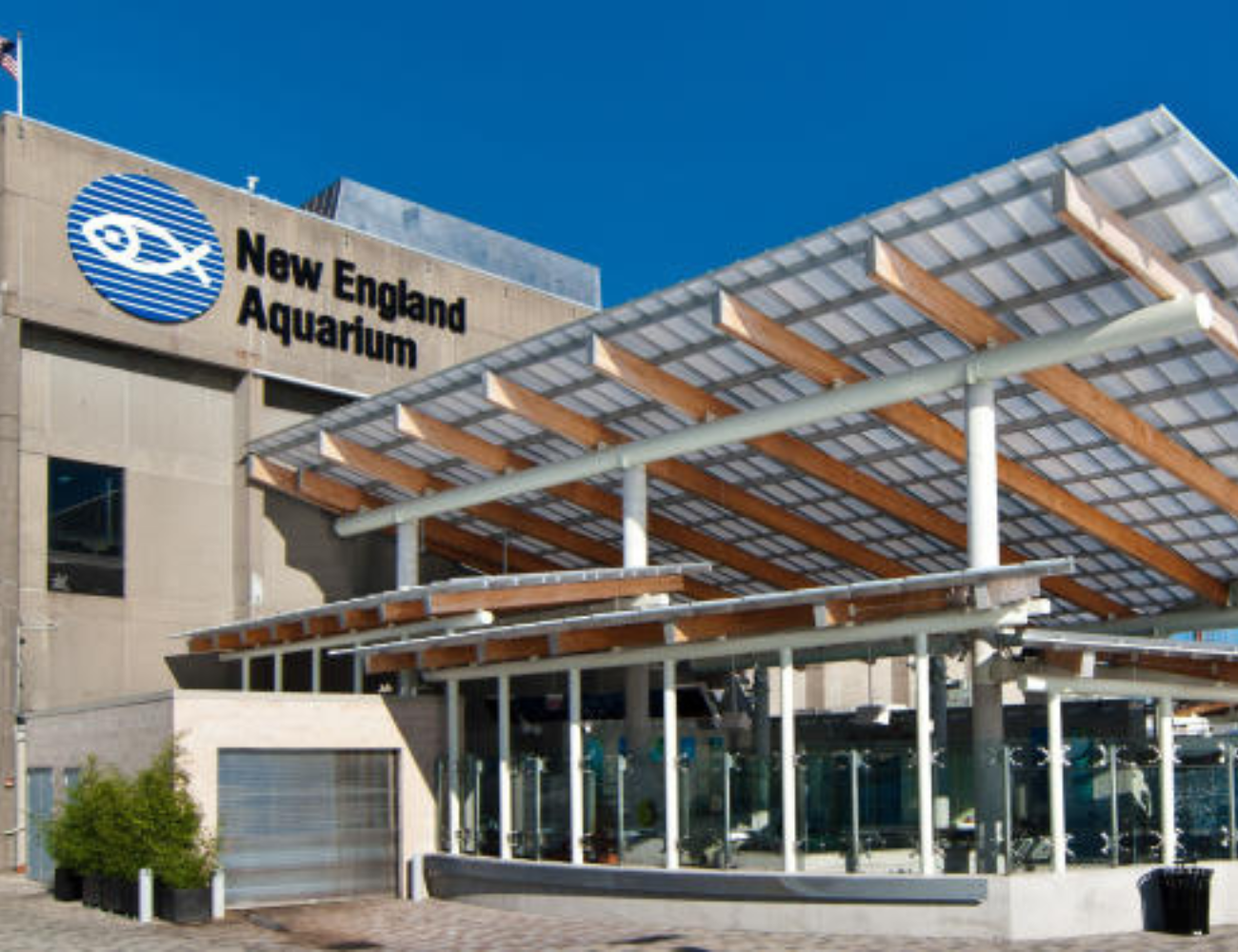 Engineering Visit to the New England Aquarium