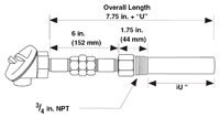 Watlow RT Style RTD with Thermowell